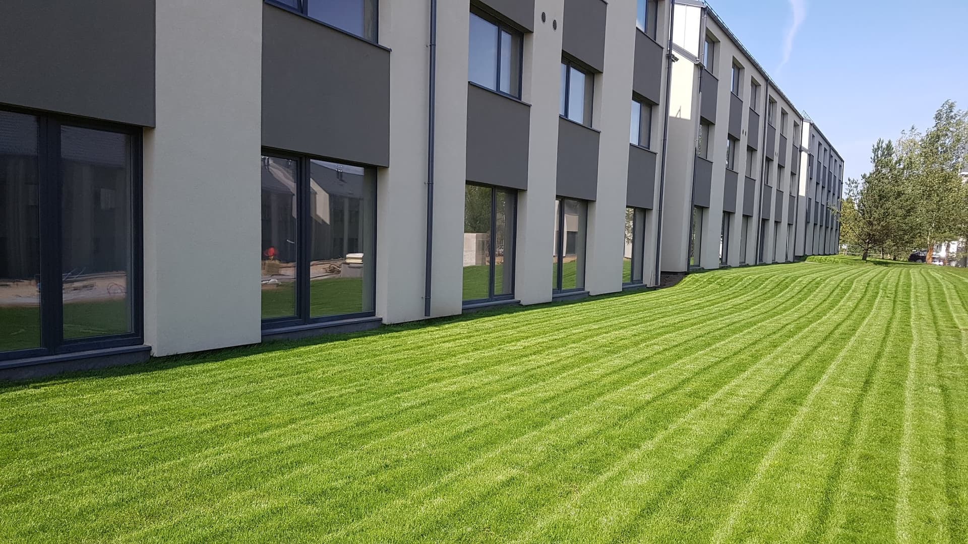 Turf lawn viewed from another angle