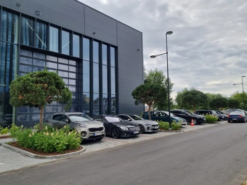 Pušys ir kiti želdiniai prie „AeroCity Tech Valley“ pastato