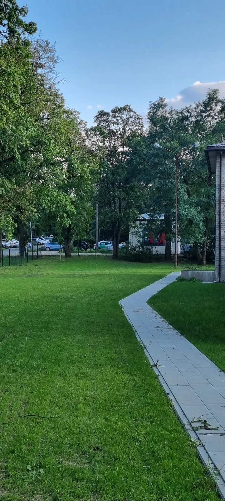 Vėlesnis žalios vejos vaizdas prie Bukiškio progimnazijos