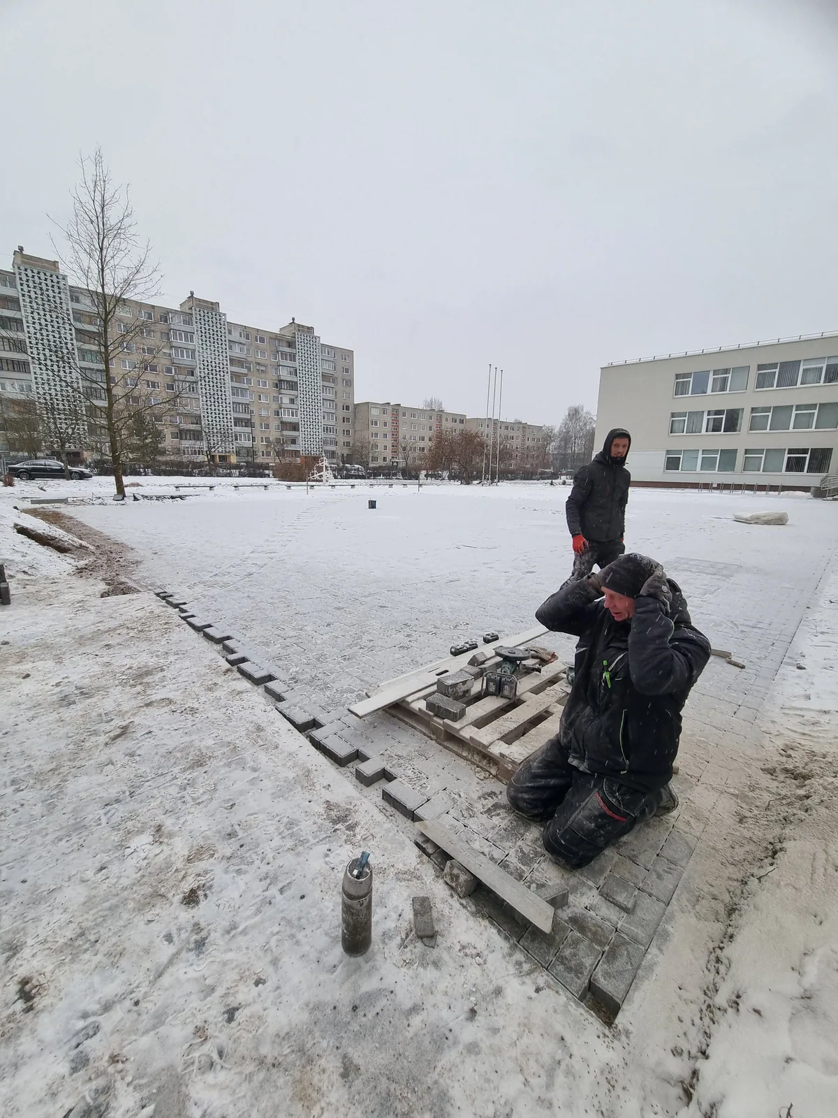 Dangos darbai sniegu padengtoje teritorijoje