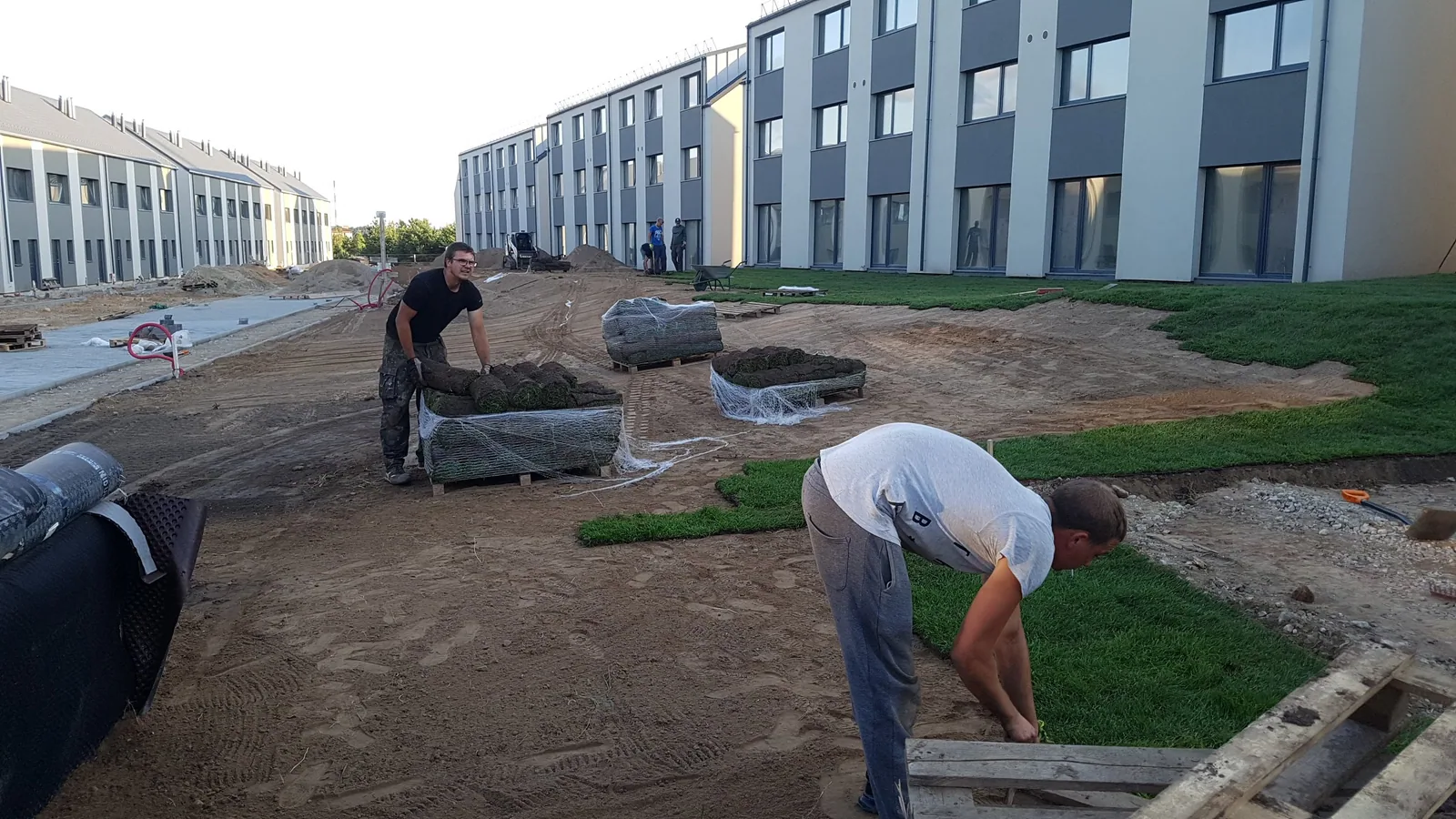 Ruloninės vejos klojimas „Nok Nok Home“ teritorijoje