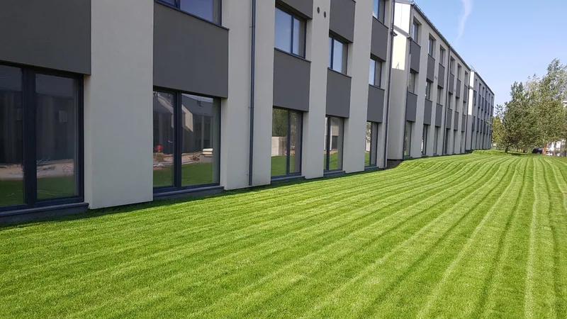 Bendras įrengtos vejos vaizdas palei „Nok Nok Home“ pastatus