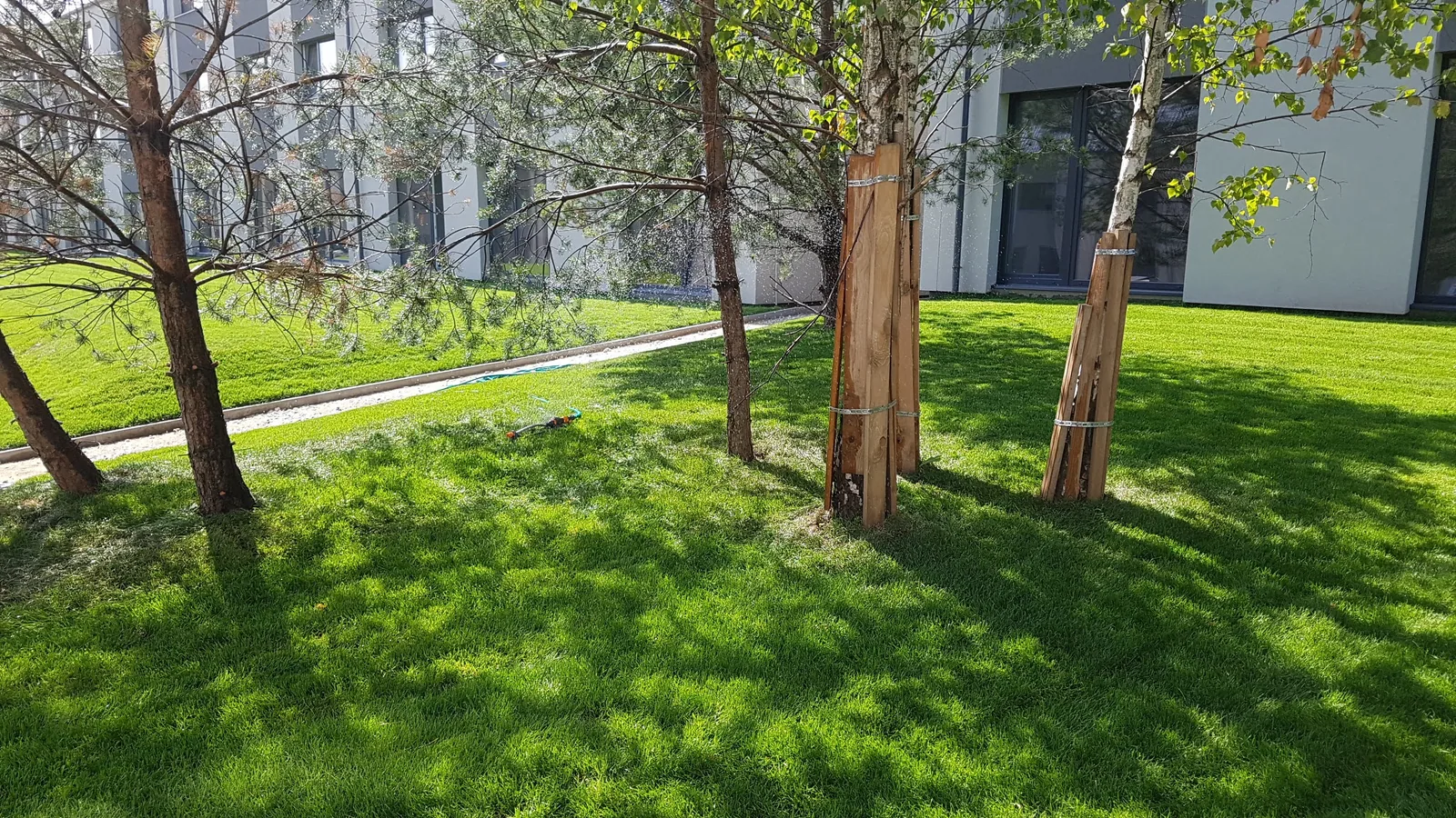 Veja ir medžių zona gyvenamajame projekte