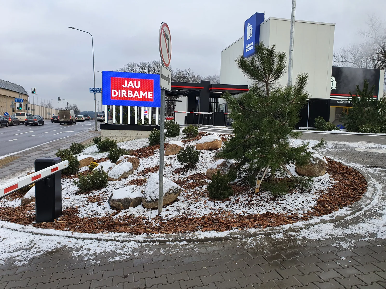 Pušų ir akmenų kompozicija prie plovyklos žiemą