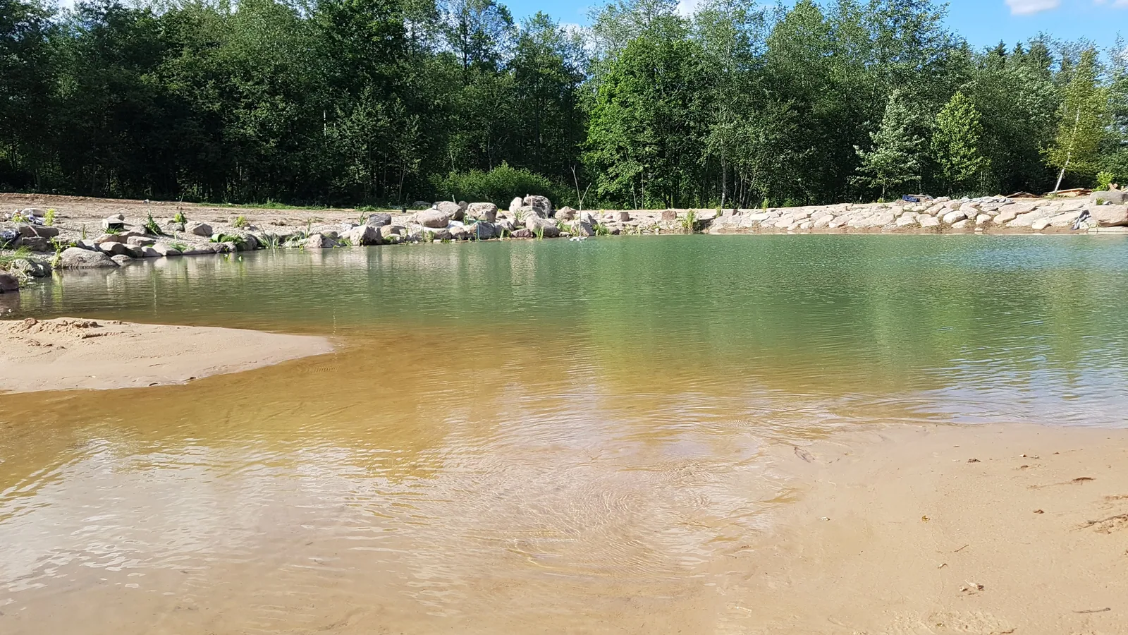 Bendras tvenkinio ir pakrantės vaizdas